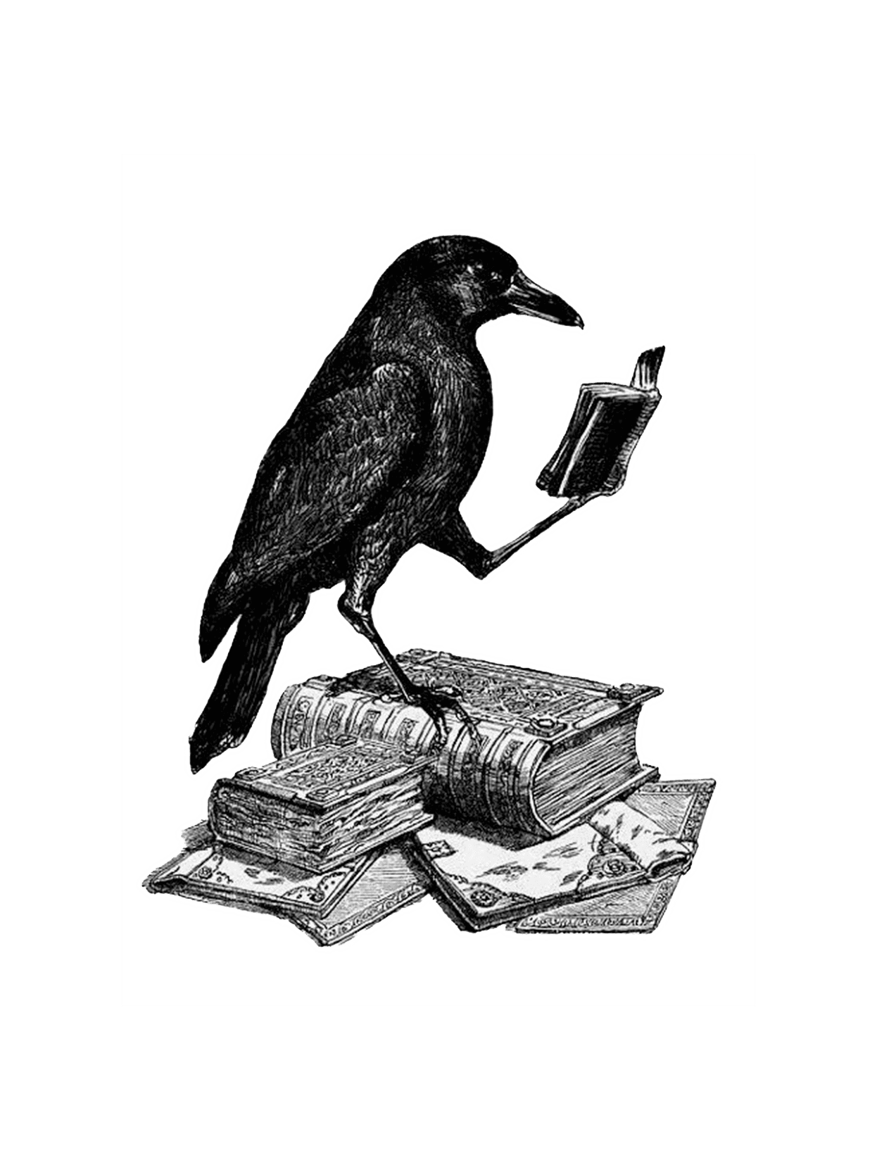 The Crow for Kindle Paperwhite e-reader wallpaper or screensaver featuring crow and books and more