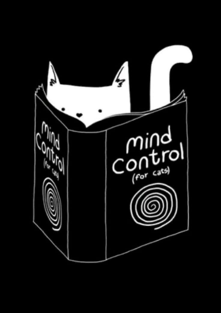 Mind control for e-reader e-reader wallpaper or screensaver featuring cat and book and more