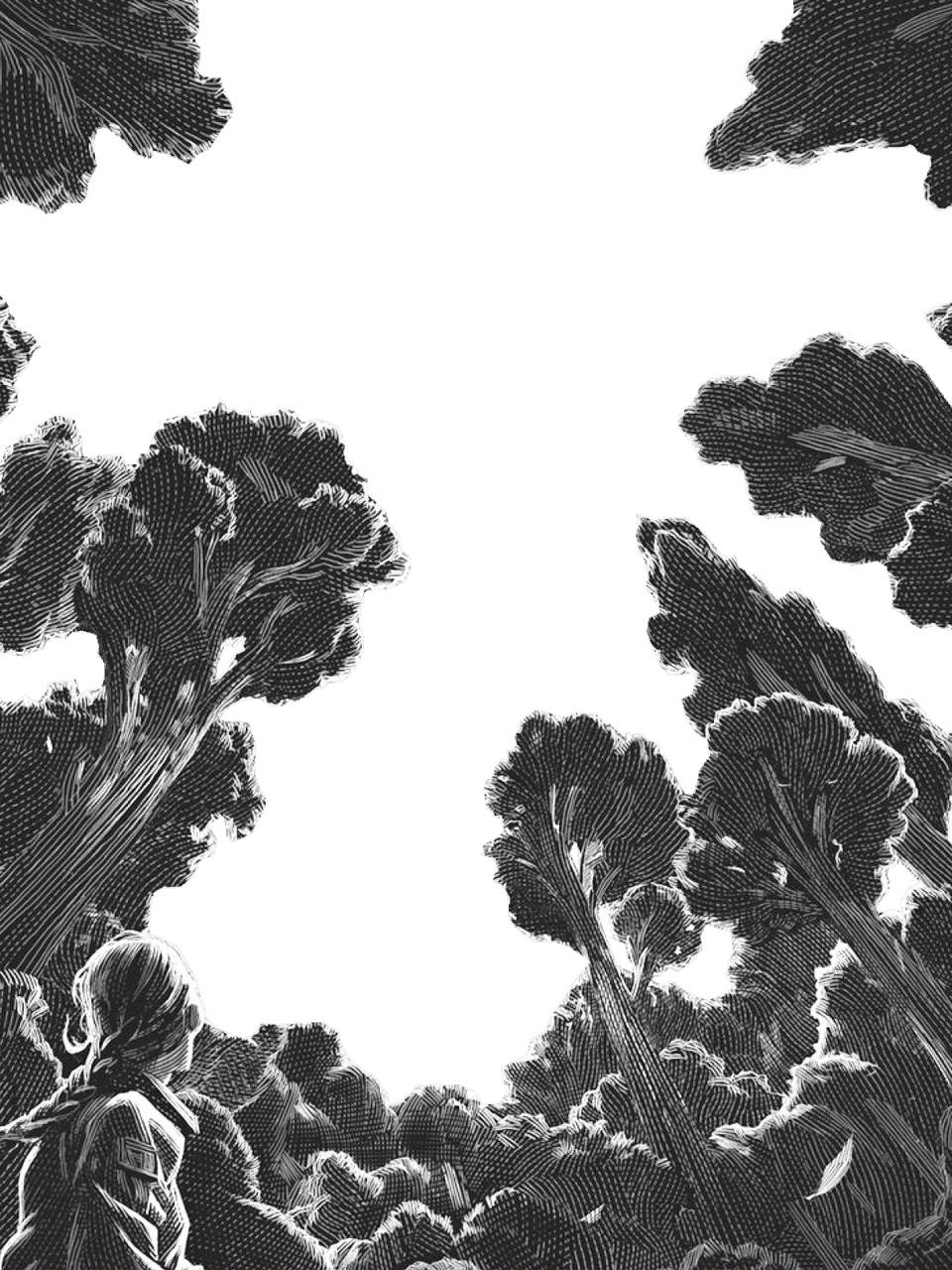 Hunger Games Illustration for Other wallpaper featuring person and forest and more