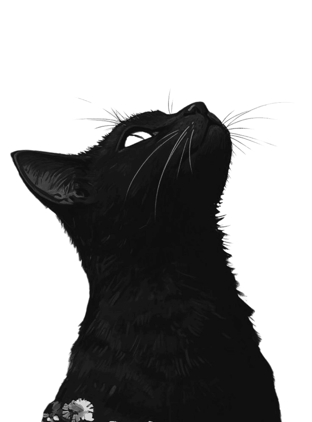 Un Ramoncito for Kindle Paperwhite e-reader wallpaper or screensaver featuring black cat and animal and more