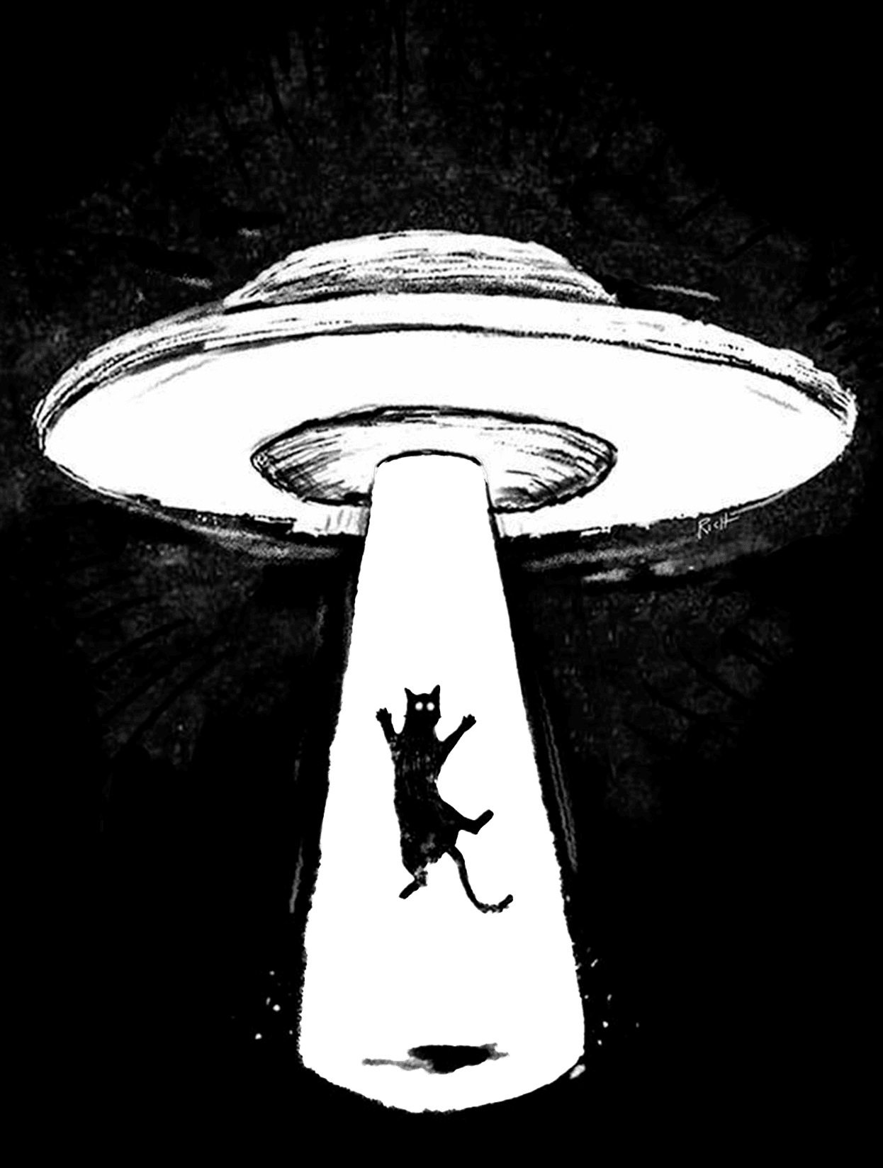 Taken! for Kindle Paperwhite e-reader wallpaper or screensaver featuring ufo and cat and more