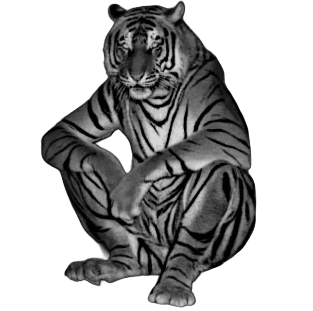 Meme - Tiger "thak gaya sher" for Other wallpaper featuring tiger and animal and more