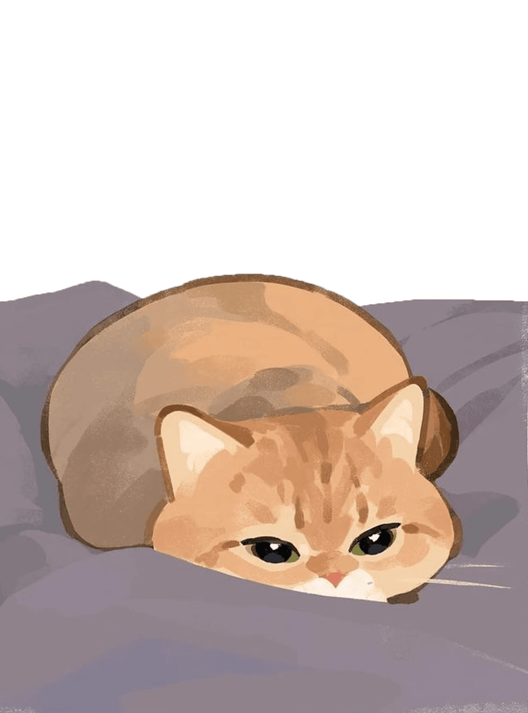 gentleeeeeeecat twitter 1 for e-reader e-reader wallpaper or screensaver featuring cat and animal and more